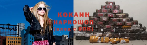 молекула духа Медвежьегорск
