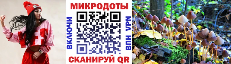 где можно купить   Краснокамск  kraken ССЫЛКА  Галлюциногенные грибы прущие грибы 