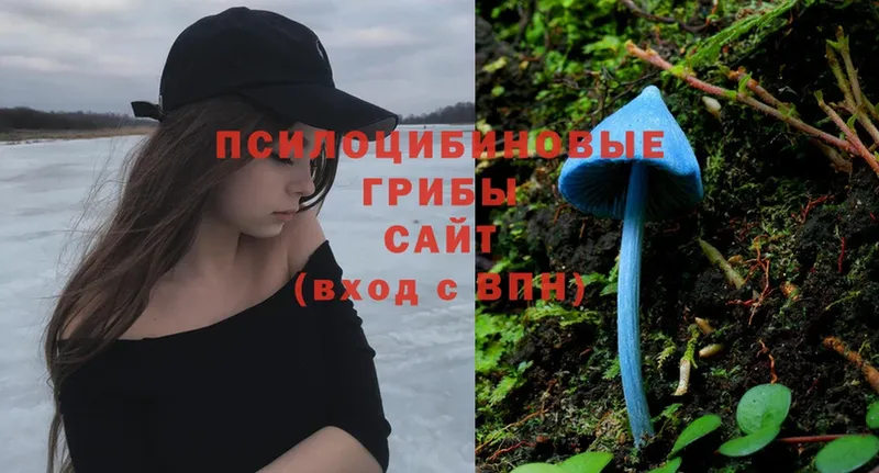 Псилоцибиновые грибы MAGIC MUSHROOMS  ссылка на мегу зеркало  Краснокамск  купить  сайты 