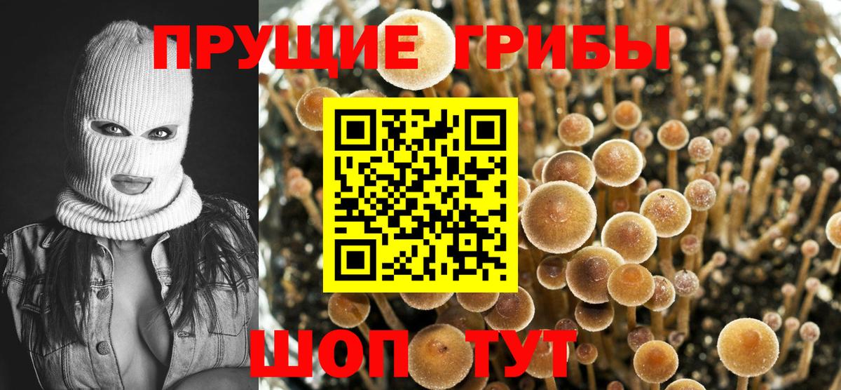 Краснокамск  Галлюциногенные грибы мицелий  Вход с VPN 